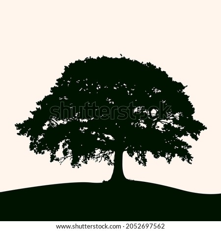 Vector illustration, silhouette of a lush tree at sunrise. Large tree on the lawn.