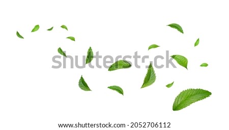 Green Floating Leaves Flying Leaves Green Leaf Dancing, Air Purifier Atmosphere Simple Main Picture Royalty-Free Stock Photo #2052706112