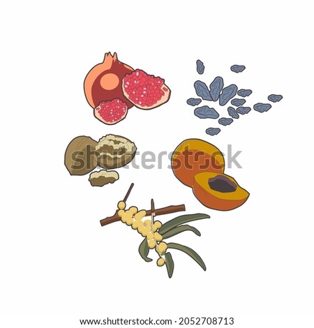 Nuts, apricots, pomegranates, raisins. Sweet food. White background. Vector.  Royalty-Free Stock Photo #2052708713