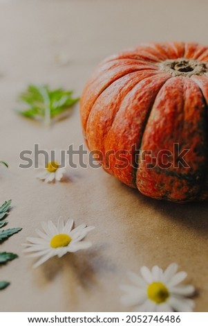 Orange pumpkin on paper background with flowers around.