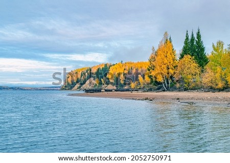 Panoramic view of the bright colorful trees along the bank of the Chusovaya River Russia Perm Krai. Autumn colored trees and blue sky, reflected in the calm and shiny water.