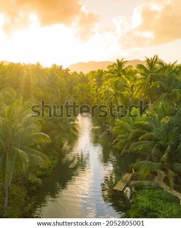 View over sunset over Amazon river with rainforest in Brazil. Royalty-Free Stock Photo #2052805001