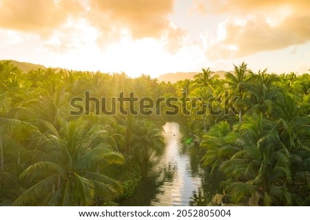 View over sunset over Amazon river with rainforest in Brazil. Royalty-Free Stock Photo #2052805004