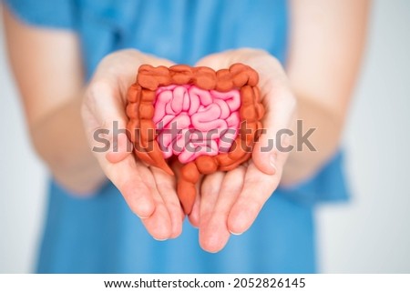 Woman holds intestines in her palms. Gastrointestinal tract. Intestinal tract in woman hand. Girl stretches intestines towards camera. Red and pink bowel mockup in hands. Intestines health. Royalty-Free Stock Photo #2052826145