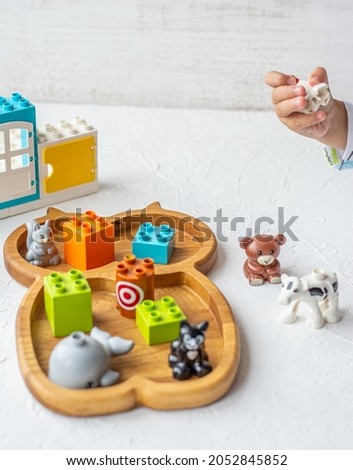 Top view on child's hands playing with colorful shirt,  small details on  wooden board.  Plastic toy bricks, top view. 