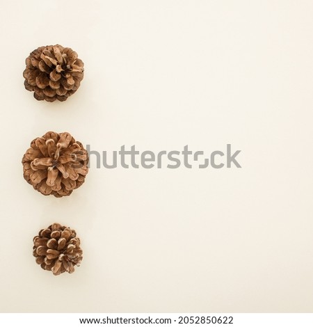Pine cone on beige background. Flat lay monochromatic minimal concept. Top view perfect for autumn and winter season.