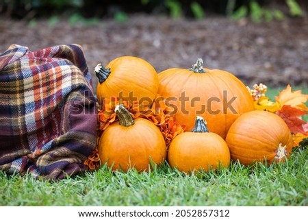 An outdoor set up of a crate with a fall autumn plaid brown blanket and lots of bright orange pumpkins and flowers, for fall decor or pictures..