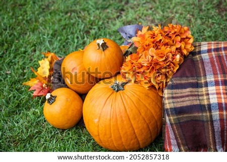 An outdoor set up of a crate with a fall autumn plaid brown blanket and lots of bright orange pumpkins and flowers, for fall decor or pictures..