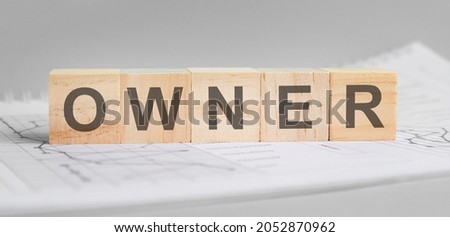 owner is written on light wooden blocks. the word is located on a sheet with charts and graphs. business concept. gray background