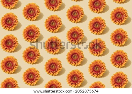 Autumn pattern in yellow and orange colour. Autumn daisy flower minimal background. Creative fall layout. 