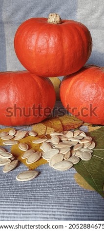 Beautiful orange pumpkins, autumn leaves, pumpkin seeds on the table. Ripe pumpkins on the table. 