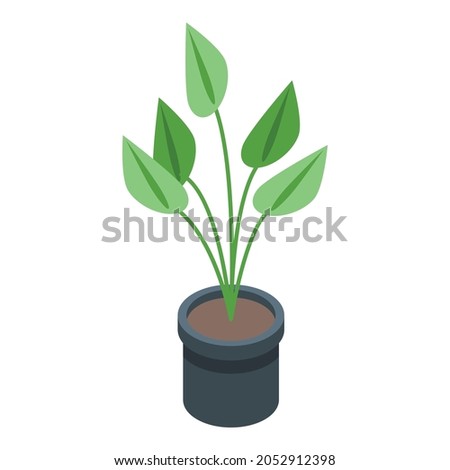 Plant pot icon isometric vector. Flowerpot vase. Garden or room plant