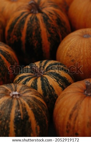 pumkin fall october halloween kitchen cooking orange