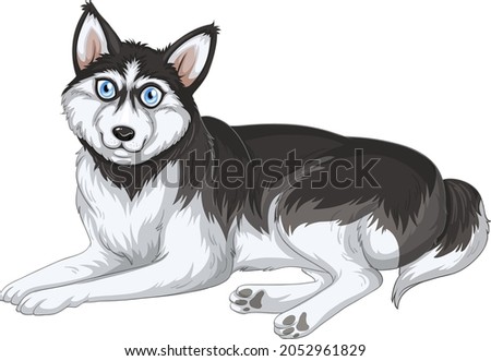 Siberian husky dog cartoon on white background illustration