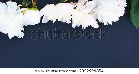 Flowers composition. Frame made of white peony flowers on black chalk background. Flat lay, top view.