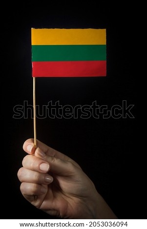 Hand with small flag of state of Lithuania