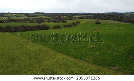 Rural South Australia Adelaide Hills landscape farm land with live stock and trees and grass. Aerial drone shot bird's eye view of cattle farms.
