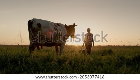 A female farmer walks with a bucket to her cow at sunset. Small agribusiness concept Royalty-Free Stock Photo #2053077416