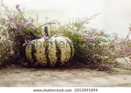 Happy Thanksgiving. Stylish striped pumpkin and autumn heather on rustic old wooden background at window in light. Fall rural composition with space for text. Atmospheric image