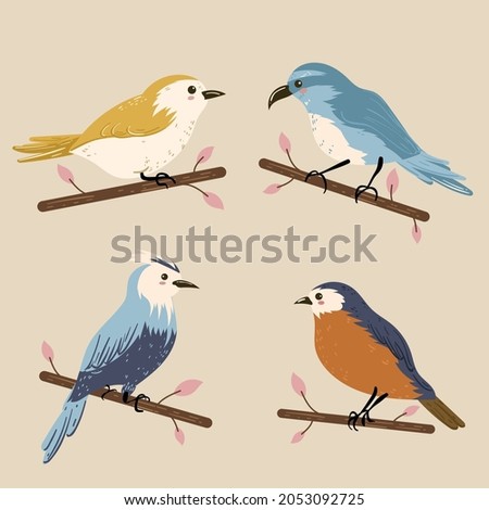 Colorful birds set illustration Vector illustration.