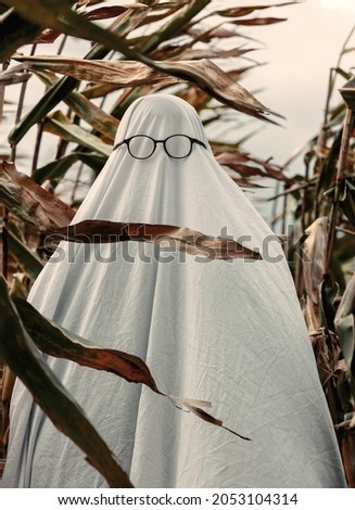 Ghost in glasses on corn field in autumn