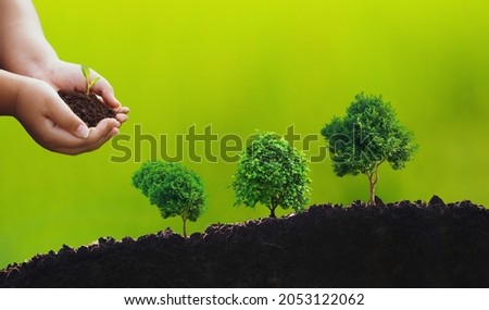 Hands holding small tree is planting. Concept of environmental stewardship and World Environment Day with CSR concept Royalty-Free Stock Photo #2053122062