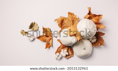 White pumpkins and nutmeg gourdes with dry autumn leaves and cotton flowers on bright white background. Creative fall season or food concept. Minimal Thanksgiving backdrop. Flat lay.