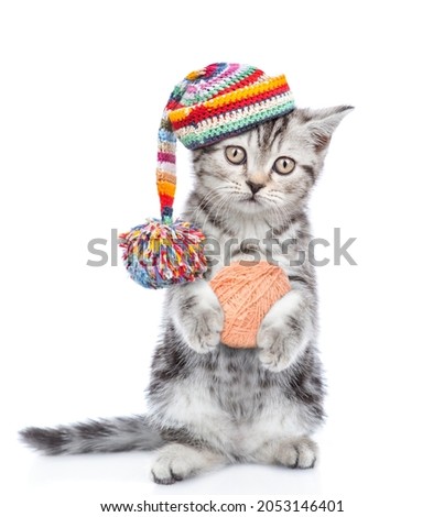 Cute kitten wearing a warm hat with pompon stands on hind legs and holds ball of yarn. isolated on white background