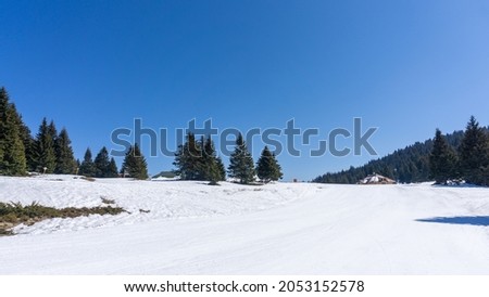 Beautiful sunny day scenery on the mountain during the winter season attracting many tourists and visitors who enjoy sport and recreation with skiing and snowboarding. Serbian winter tourism. 