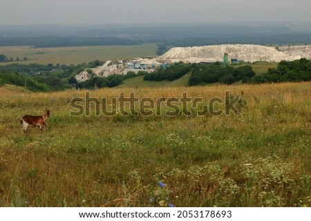 View of the Eldako plant - an enterprise for the extraction and production of lime and chalk near the village of Selyavnoye, Voronezh region, Russia