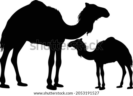 Camel cartoon silhouette vector art and illustration