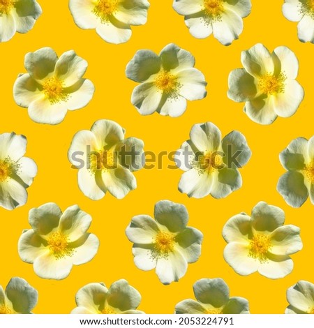 Yellow flowers seamless pattern. Beautiful yellow flowers red flowers.