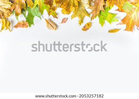 Simple Autumn leaf flatlay, colorful fall dried leaves and pumpkins on white background, top view frame border. Autumn creative composition.