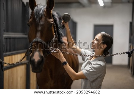 Female horseman combing mane of her brown Thoroughbred horse in stable. Concept of animal care. Rural rest and leisure. Idea of green tourism. Young smiling european woman wearing uniform Royalty-Free Stock Photo #2053294682