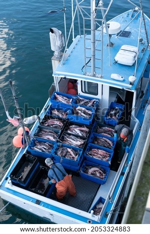 Commercial fishing boat loaded with boxes of harvested monk fish, cod, and blue fish cleaned by two unidentifiable persons. Aerial top view.
