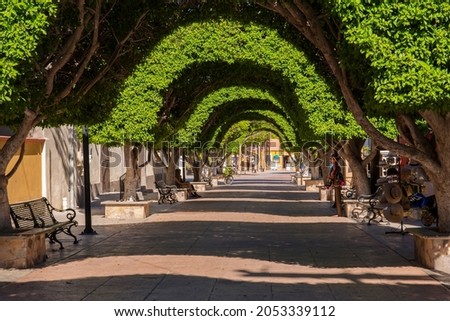 Beautiful pedestrian-only main street surrounded by lush, vibrant manicured trees in Loreto, Mexico
 Royalty-Free Stock Photo #2053339112