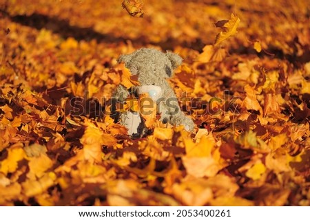gray teddy bear sitting among the autumn foliage