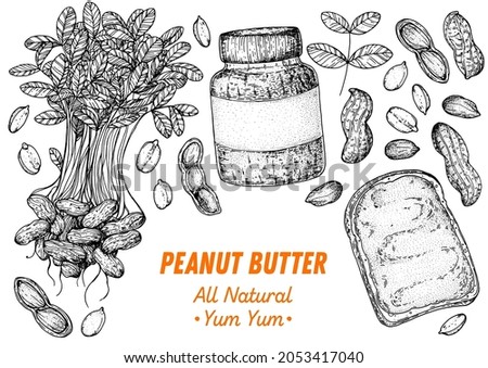 Peanuts and ingredient for peanut butter sketch. Breakfast for energy. Hand drawn vector illustration. Design template. Vegan food. Peanut nut butter set. Royalty-Free Stock Photo #2053417040