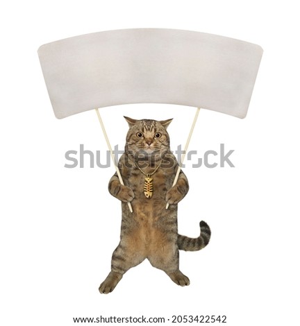 A beige cat with a big blank poster on wooden sticks. White background. Isolated.
