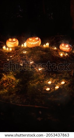 Vertical Halloween background with burning candles and glowing jack-o-lantern pumpkins on grass in night forest. Spooky traditional holiday symbols in distance. Copy space for text