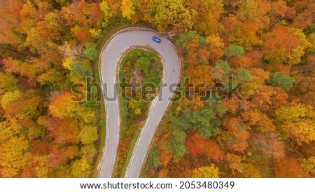 AERIAL, TOP DOWN: Metallic blue car drives into a sharp hairpin turn of a scenic switchback road crossing a fall colored forest. Drone shot of a car exploring the woods changing colors in autumn. Royalty-Free Stock Photo #2053480349