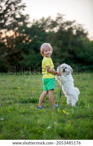 Cute preschool child, blond boy with pink stripes in his hair, taking pictures with his cute maltese dog in the park on sunset