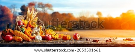 Basket Of Pumpkins, Apples And Corn On Harvest Table With Field Trees And Sky Background - Thanksgiving