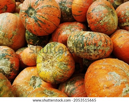 Pumpkin, background for design and presentations.