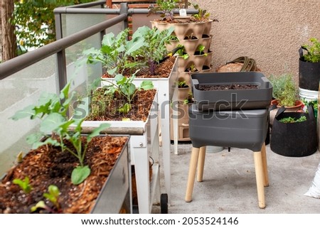 Fresh worm castings (compost) is ready to be added to elevated garden beds on a patio. Worm composters are a perfect solution in an apartment, on a balcony or porch, or inside to process food waste Royalty-Free Stock Photo #2053524146