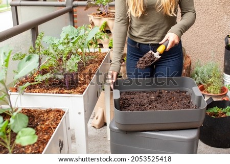 A women harvests fresh worm castings (compost) from a vermicomposter on her balcony, into her raised planter garden on her patio. She is side dressing small plant starts for fall Royalty-Free Stock Photo #2053525418