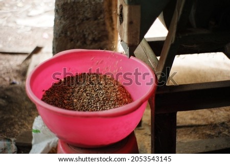 coffee bean grinding process. separate the coffee husk from the beans using traditional tools. home industry coffee making Royalty-Free Stock Photo #2053543145
