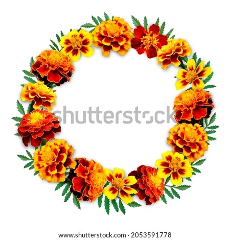 Marigold wreath photo design elemet on white background isolated for print produts, social media, autumn decorations