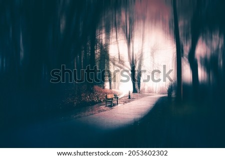Enchanted forest in magic, mysterious fog at night. Halloween background