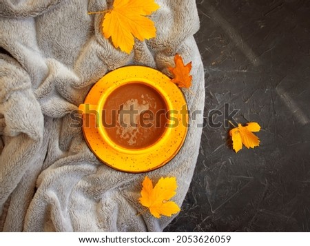 coffee cup autumn leaves on concrete background
